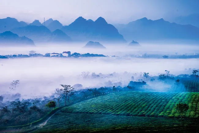 Mộc Châu vào mùa đẹp nhất ảnh 7