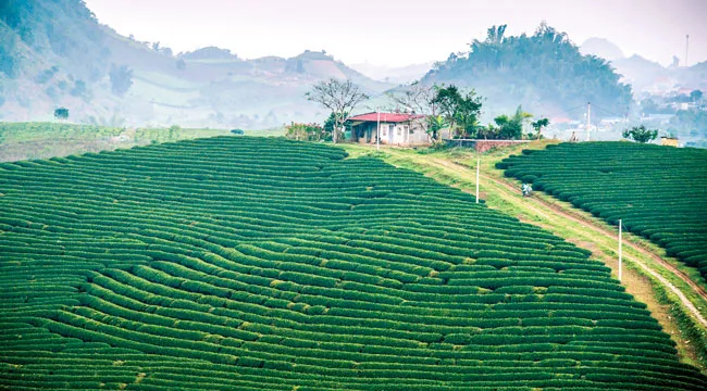 Mộc Châu vào mùa đẹp nhất ảnh 8