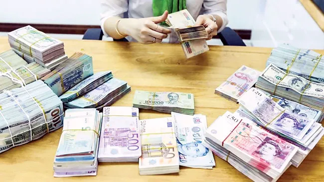 Ngành ngân hàng 2019 - Sức ép ngoại lai ảnh 1