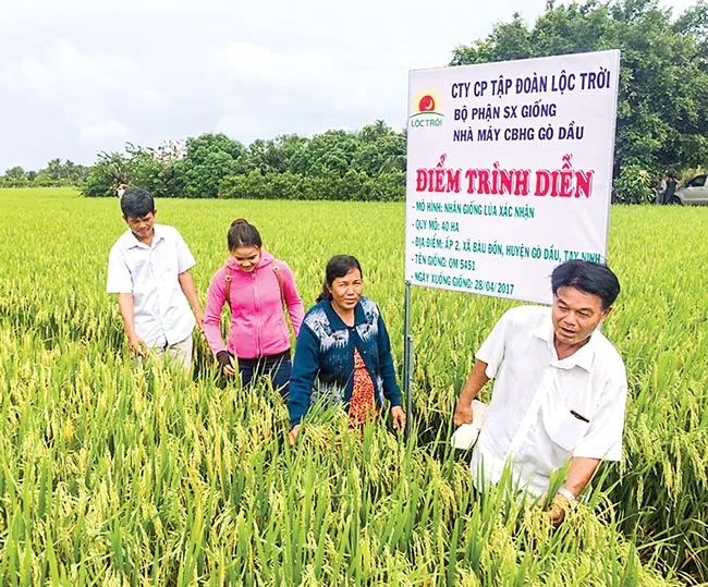 Báo động tình trạng vi phạm thuế ảnh 1