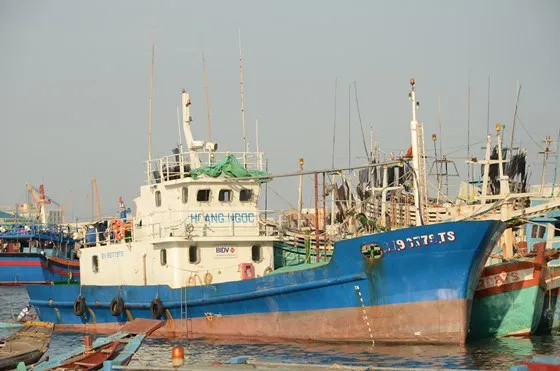 Ngư dân ôm nợ vì tàu nằm bờ ảnh 1