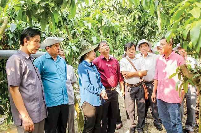 Bảy Núi vào mùa trẩy hội ảnh 2