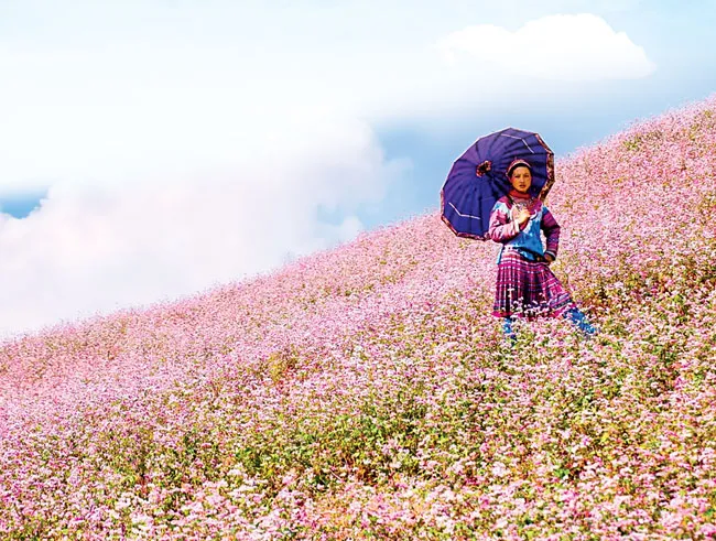 Về miền Đông Bắc ảnh 2