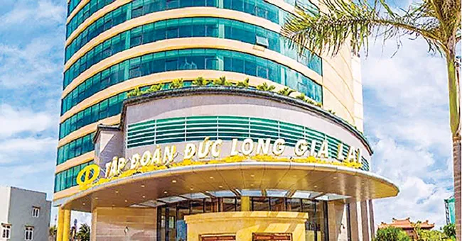 Họ Gia Lai tương lai bất định - Bài 2: QCG - DLG cùng lao dốc ảnh 2