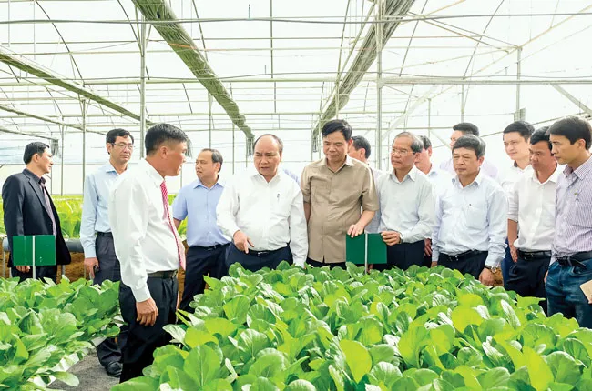 Con người là mấu chốt nông nghiệp 4.0 ảnh 1