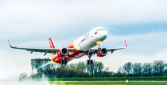 Cơ hội bay cao và bay xa ảnh 1