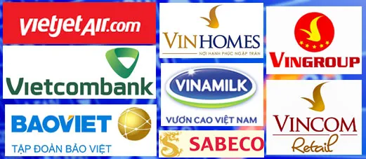 Vốn khủng ngoại sẽ rót CP nào? ảnh 1