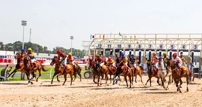 Dự án trường đua ngựa Sóc Sơn-Hà Nội: Chọn Tập đoàn Charmvit hay FLC? ảnh 1