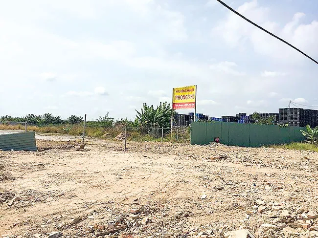 Khuất tất đấu giá KCN Phong Phú ảnh 1