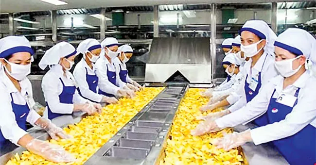 Bài toán chế biến sâu rau củ quả? ảnh 1