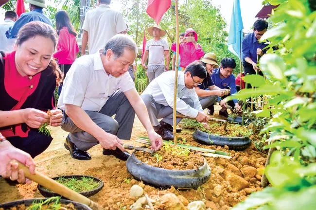 Cả Huế xuống đường “Ngày chủ nhật xanh” ảnh 1