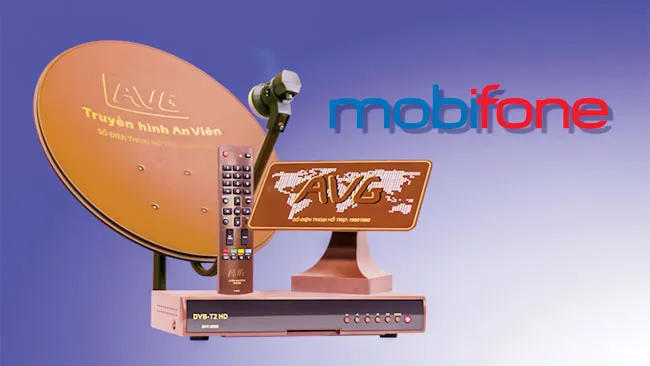 Cổ phần hóa DNNN: Chưa nghiêm túc, thiếu quyết liệt ảnh 1