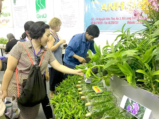 Thị trường hoa kiểng bị “bỏ rơi” ảnh 1