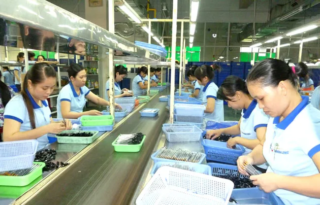 Nên “nuôi lớn” doanh nghiệp hay chạy theo số lượng? ảnh 1