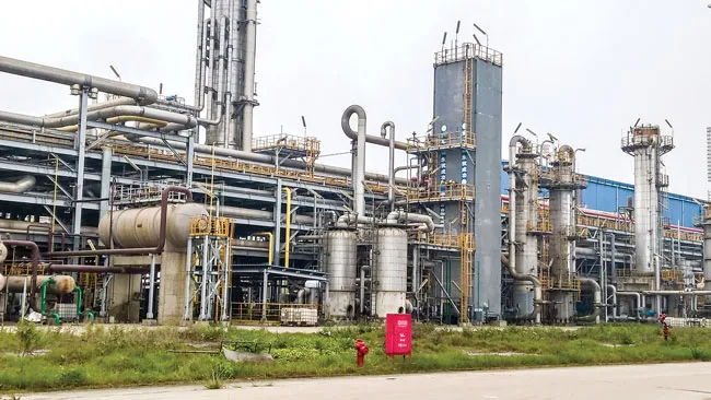 Giấc mộng cổ phần hóa ảnh 1