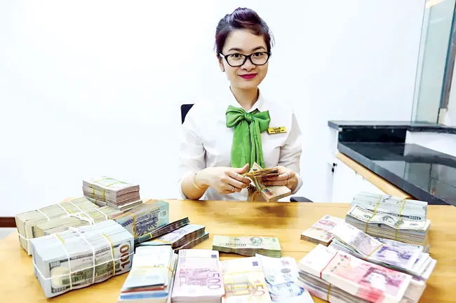 Bán vốn ngoại, từ sỉ sang lẻ ảnh 1