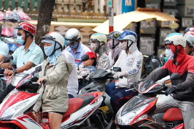 Sốc nhiệt đột biến vì nắng nóng ảnh 1