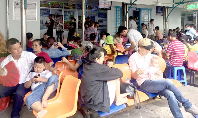 Sốc nhiệt đột biến vì nắng nóng ảnh 2