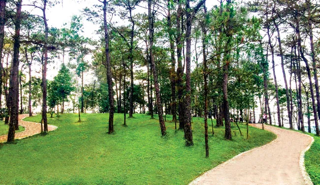 Ngỡ ngàng vẻ đẹp Đảo ngọc Tuần Châu ảnh 3