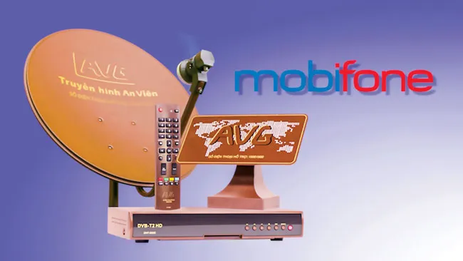 Sự biện minh chậm trễ cổ phần hóa ảnh 1