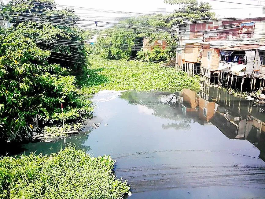 Tập trung cải tạo và xử lý ô nhiễm kênh rạch ảnh 1