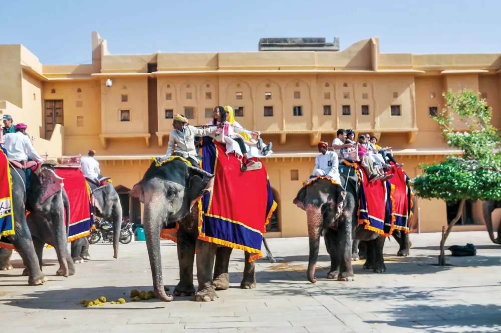 Jaipur thành phố màu hồng ảnh 5