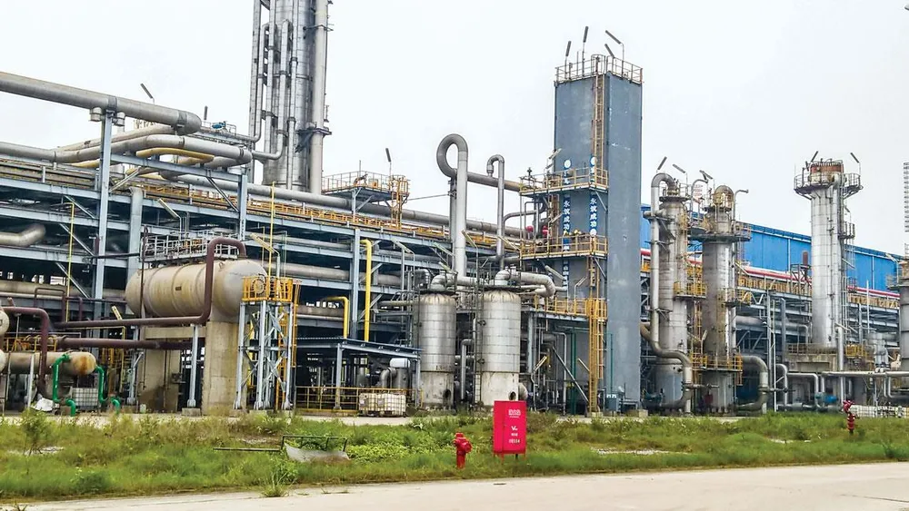 Public sector not core of economy ảnh 1