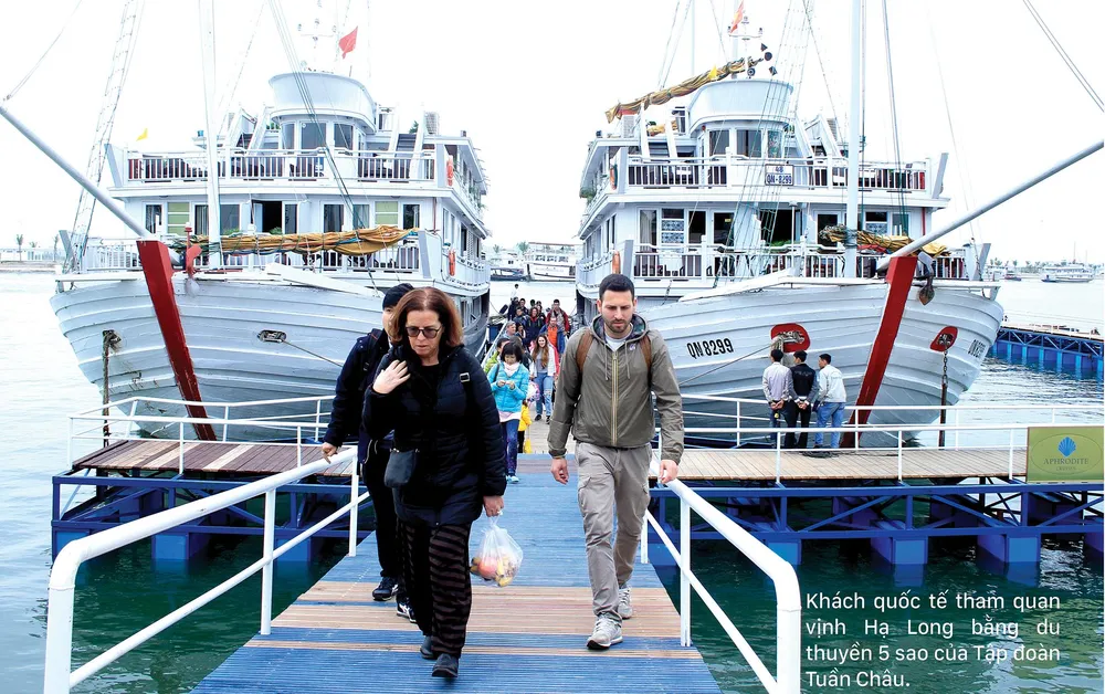 Cảng tàu khách quốc tế Tuần Châu: Một điểm đến nhiều tiện ích ảnh 4