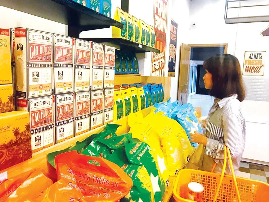 Xuất khẩu gạo -Tìm thị trường mới ảnh 2