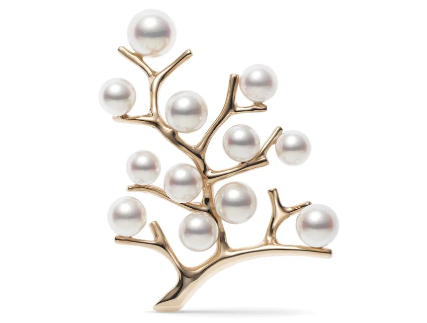 Trường tồn cùng ngọc trai ảnh 1