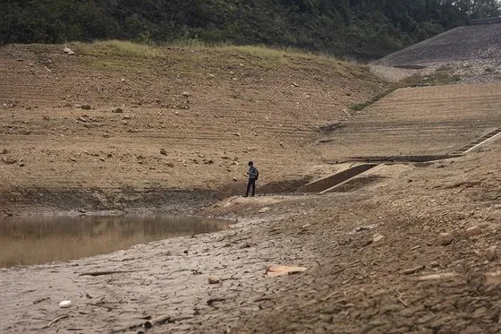 Cây lương thực khô cháy, chết dần vì hạn hán kéo dài ở khu vực Trung Trung bộ ảnh 4
