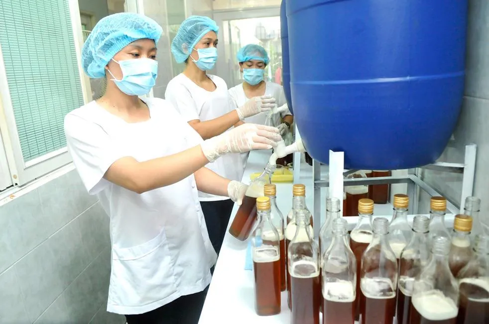 Sự yếu thế của doanh nghiệp nhỏ và vừa ảnh 1