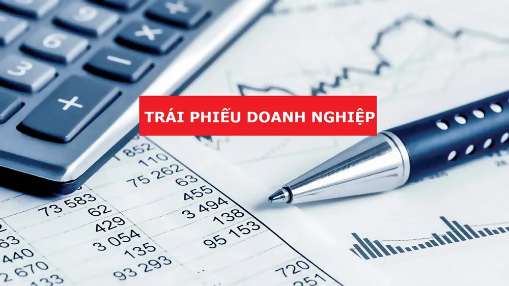 Đặt cược tăng trưởng hay an toàn hệ thống? ảnh 1