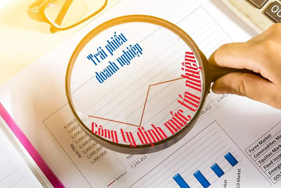 Phải có đơn vị xếp hạng để hạn chế rủi ro ảnh 1