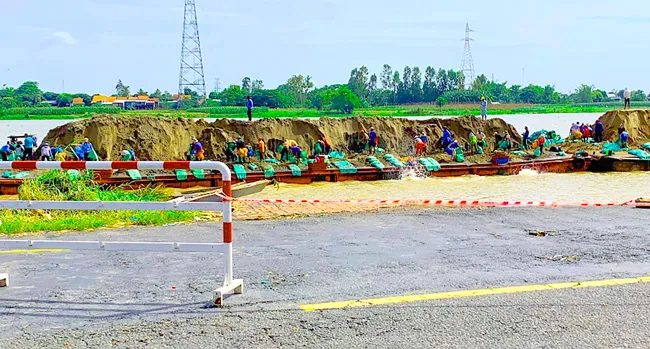 ĐBSCL chật vật chống sạt lở ảnh 1