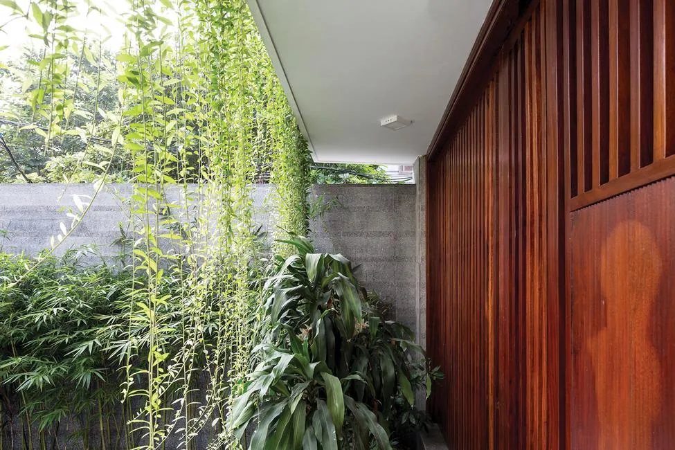 Không gian xanh cho nhà phố thị ảnh 2