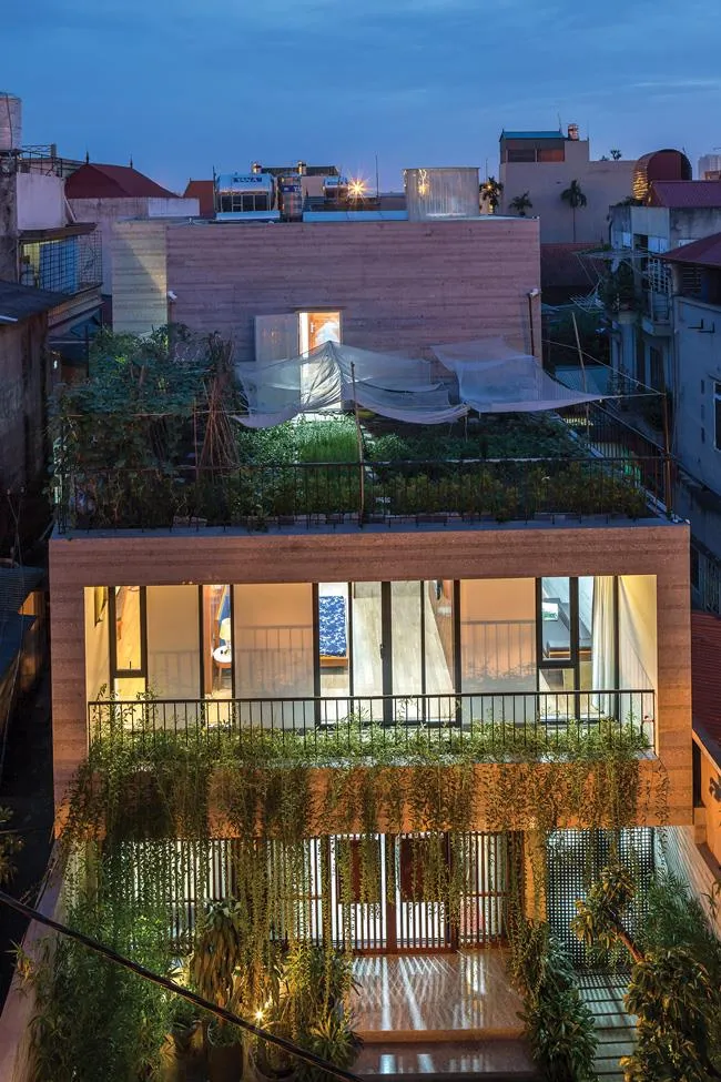 Không gian xanh cho nhà phố thị ảnh 4