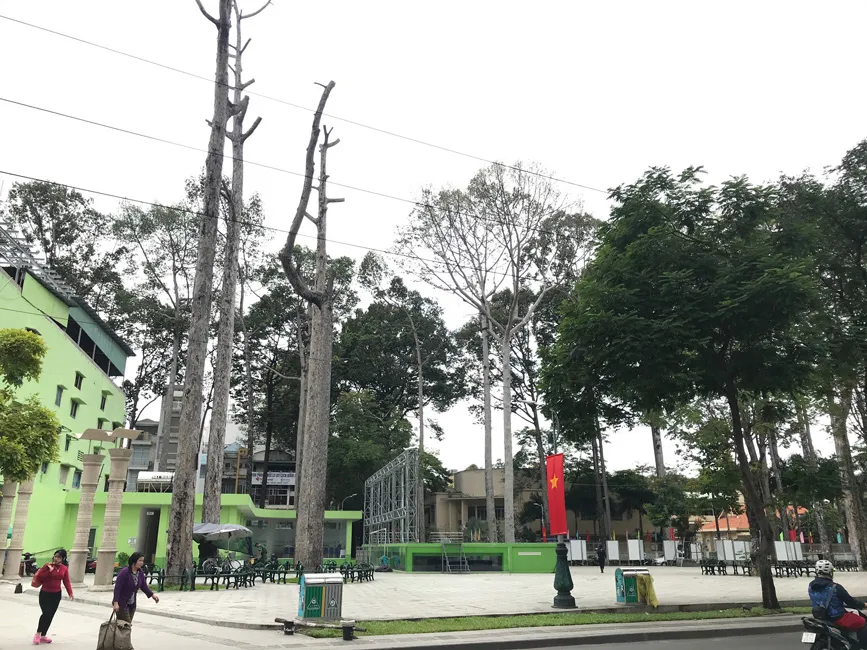 Định hình,tăng tính thẩm mỹ cho hệ thống cây xanh ảnh 1