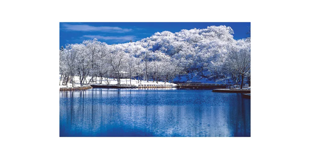 IBARAKI - Vùng đất thiên nhiên trù phú ảnh 1