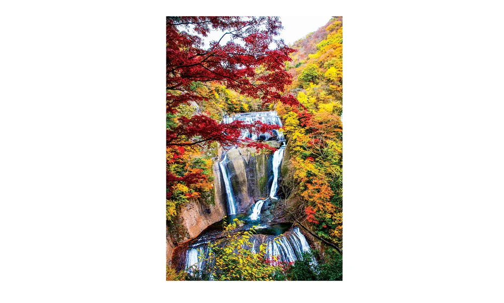 IBARAKI - Vùng đất thiên nhiên trù phú ảnh 5