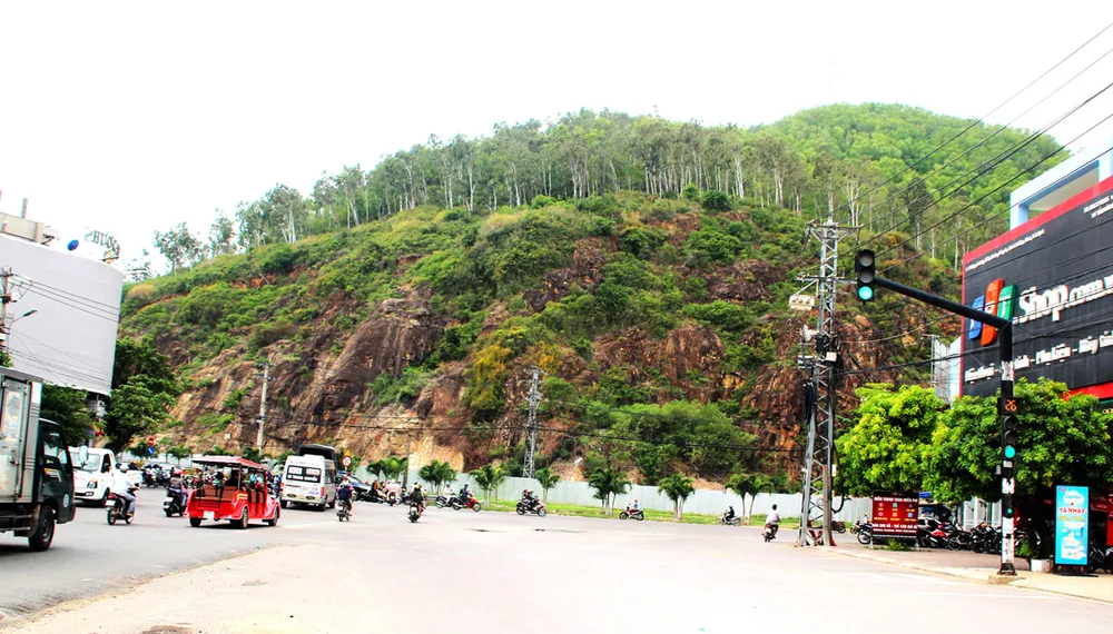 Người dân, chuyên gia phản đối đục núi làm phù điêu ảnh 1