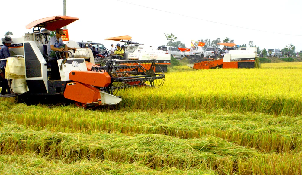 Đầu tư công nghệ tạo đột phá cho hạt gạo ảnh 1