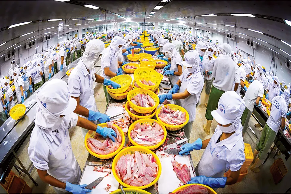 2 năm thẻ vàng IUU, thua thiệt đủ đường ảnh 1