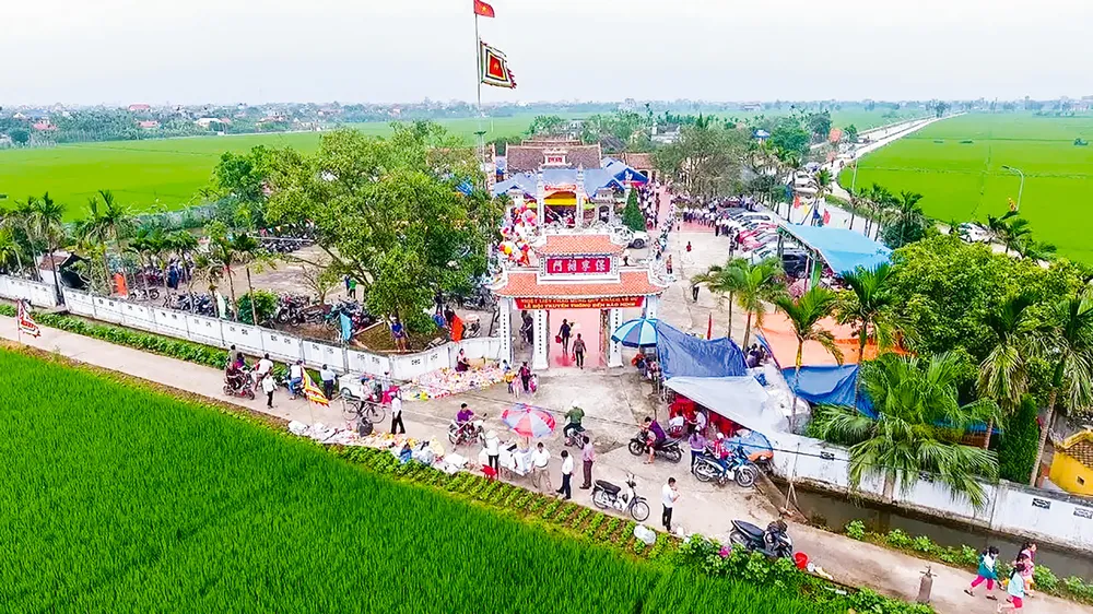 Ong ong ráng thu ảnh 1