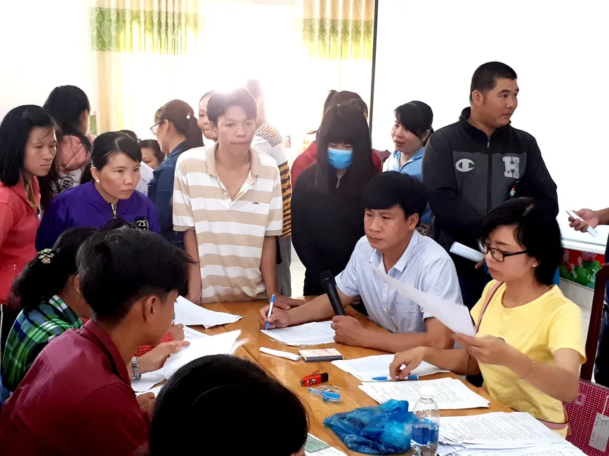 Nợ BHXH: Chủ doanh nghiệp sẽ bị xử lý hình sự ảnh 1