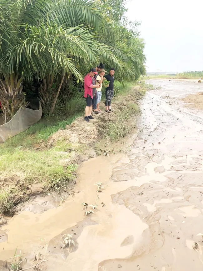 San lấp mặt bằng khi chưa bồi thường cho dân ảnh 1