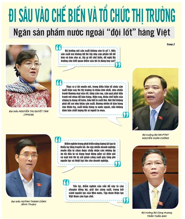 Ngăn sản phẩm nước ngoài “đội lốt” hàng Việt ảnh 1