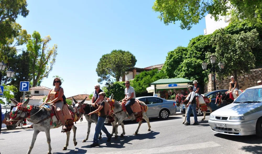 Phúc lợi cho động vật ảnh 1