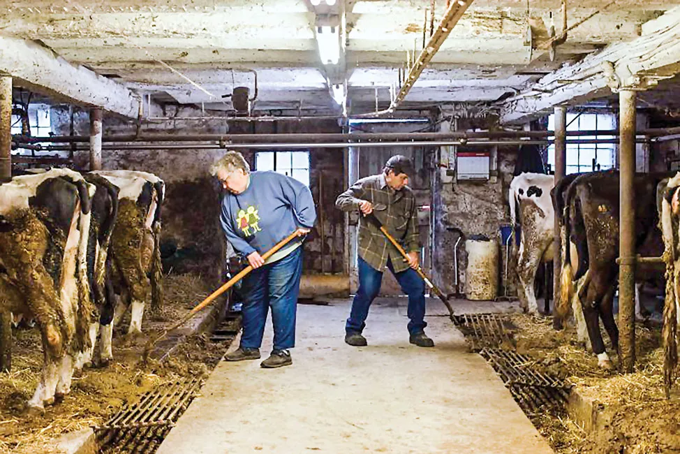 Hoàng hôn nông trại nhỏ tại Mỹ ảnh 1