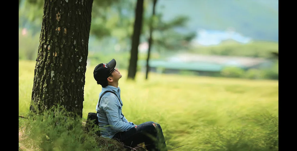 Miền hoài cổ mùa lá phong ảnh 3